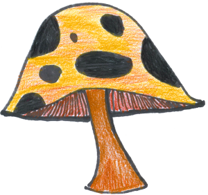 mushroom-taco